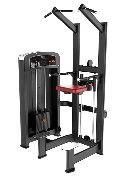 Elite Selectorized Assisted Chin/Dip - Commercial Adjustable Pin Selectorized Chin-up Dip Combo Machine
