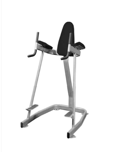 Vertical Knee Raise - Elite Series - Sturdy Vertical Knee Raise