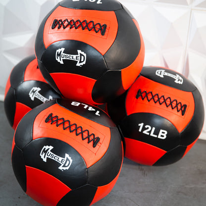 Medicine Ball/Wall Ball - Heavy Duty Stitching - Multi-Panal Design - 14" Diameter