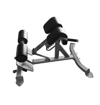 Back Extension Bench